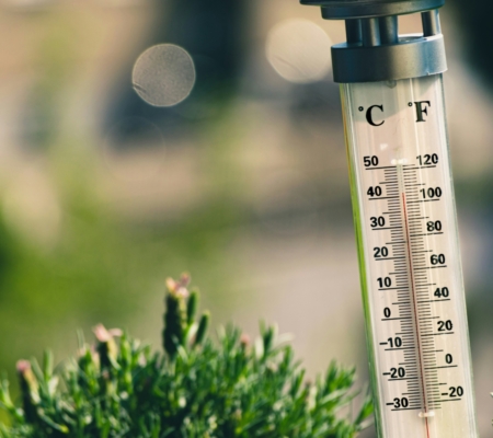 Thermometer zeigt über 40 Grad an