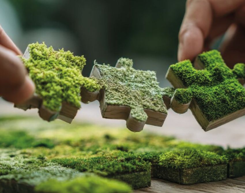 Puzzle mit Grünen Wäldern