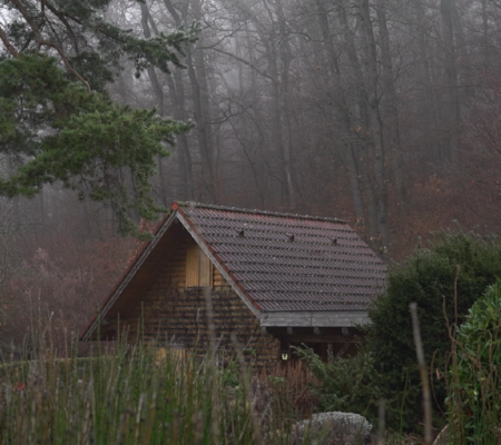 Hütte in nebeligem Wald